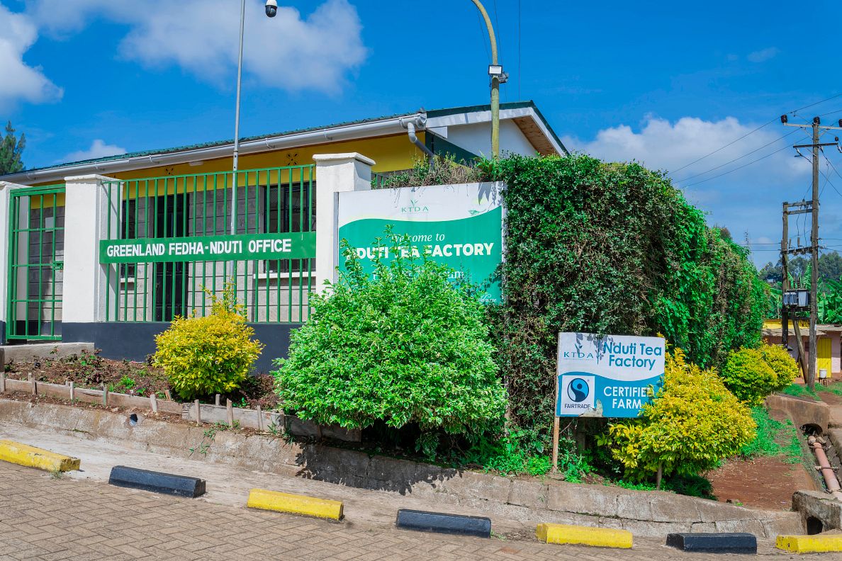Educating the Next Generation at Nduti Tea Factory